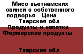 Мясо вьетнамских свиней с собственного подворья › Цена ­ 300 - Тверская обл. Продукты и напитки » Фермерские продукты   . Тверская обл.